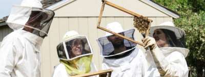Beekeeping Courses: Learn About Beekeeping & Become a Beekeeper