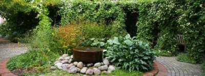 Courses in Garden Design: Learn How to Design Gardens