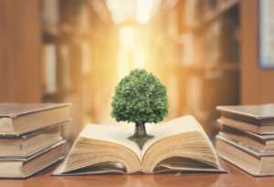 Courses in Environmental Studies: Learn About the Environment