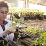 Horticulture Courses: Learn More About Horticulture Horticulture Courses: Learn More About Horticulture