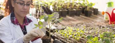 Horticulture Courses: Learn More About Horticulture