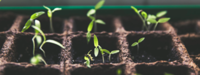 Gardening Courses