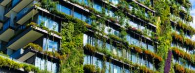 Building Sustainability Courses: Learn to Construct Sustainable Buildings