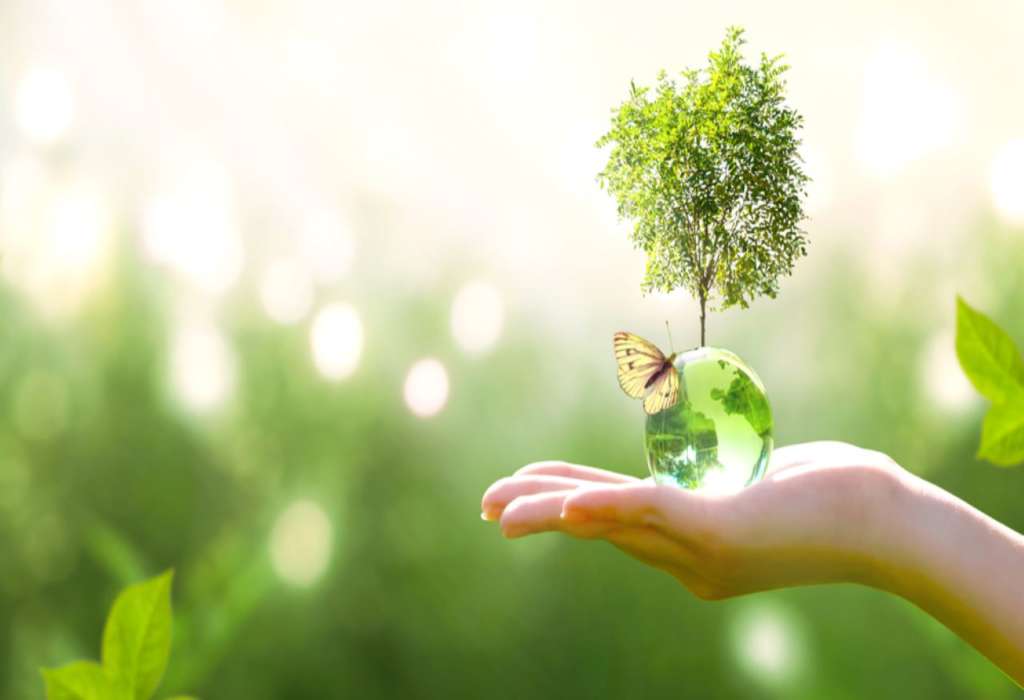 Earth & Geoscience Courses: Explore the Study of the Earth