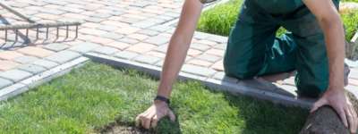 Garden Construction Courses: Learn About Garden Construction