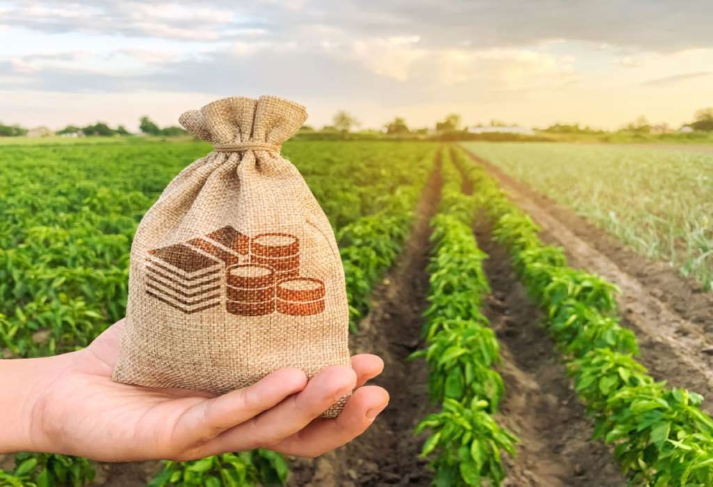 Farm Finance Courses: Learn About Farm Finance