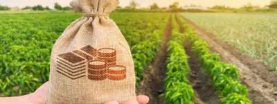 Farm Finance Courses: Learn About Farm Finance